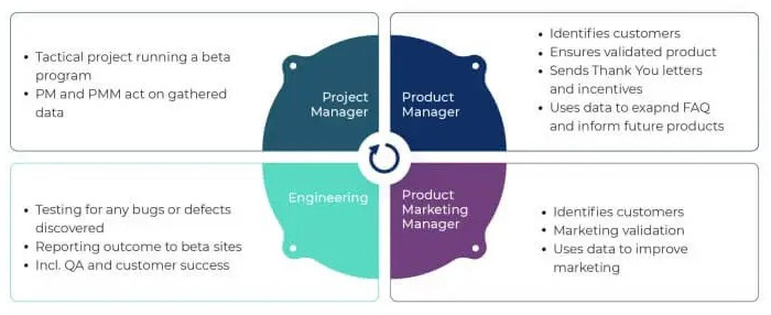 Key Roles and Responsibilities in Beta