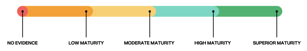 Diagnostic Report: Maturity Scale