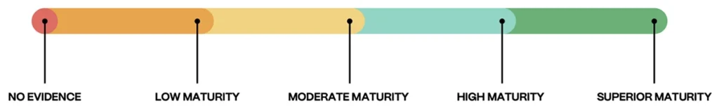 Product Management Diagnostic Maturity Scale