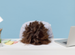the builder pm in ai product management